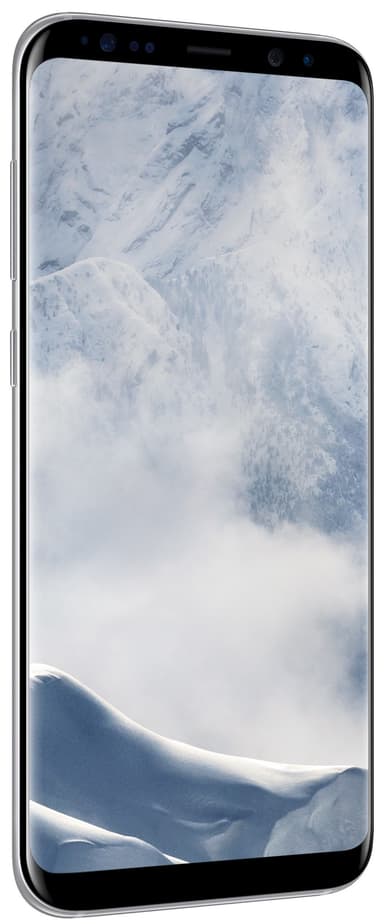 Samsung Galaxy S8 Plus smartphone (sølv)