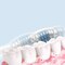 INF Elektrisk tandbørste tandstensfjerner sæt 5-delt Blå
