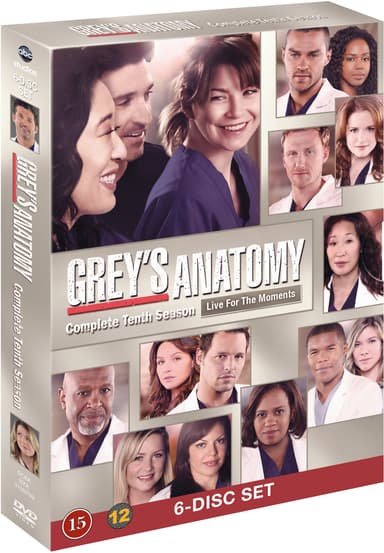 Grey’s Anatomy - Sæson 10 - DVD