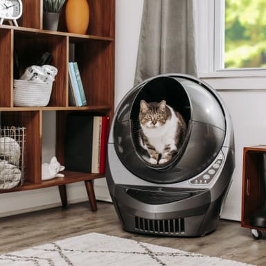 Whisker Litter-Robot 3 Connect automatisk kattebakke (grå)