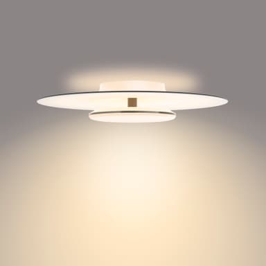 Philips Garnet loftslampe 40W