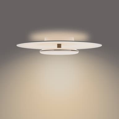 Philips Garnet loftslampe 40W
