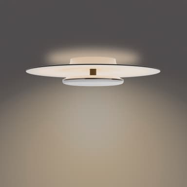 Philips Garnet loftslampe 40W