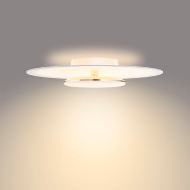 Philips Garnet loftslampe 40W