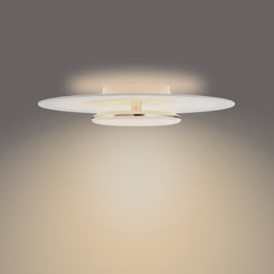 Philips Garnet loftslampe 40W