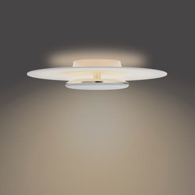Philips Garnet loftslampe 40W