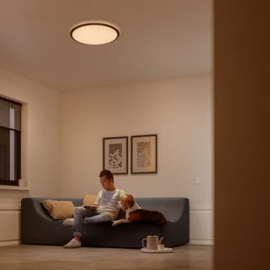Philips Cavanal loftslampe 18W