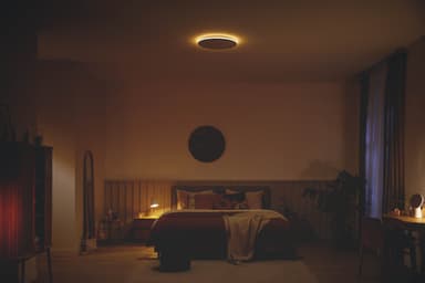 Philips Ozziet loftslampe 22W (sort)