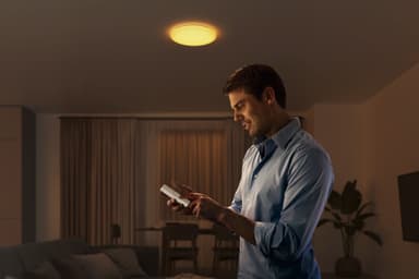 Philips Izso loftslampe 24W med fjernbetjening