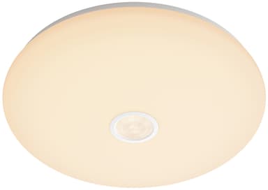Philips Mauve loftslampe 16W