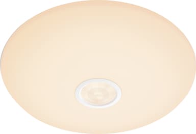 Philips Mauve loftslampe 6W