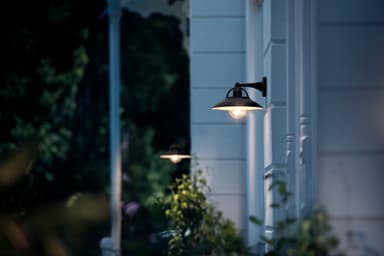 Philips Cormorant væglanterne 42W E27