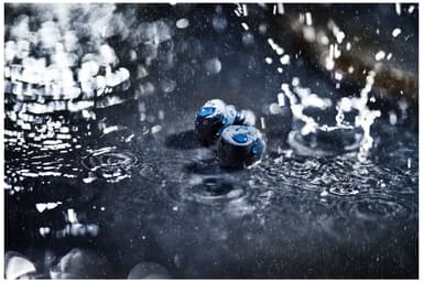 Jabra Elite 8 Active true wireless in-ear høretelefoner (sort)