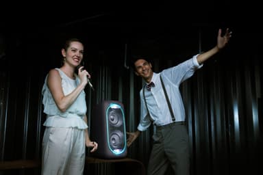 Sony A/V partyhøjttaler GTKXB60 (sort)