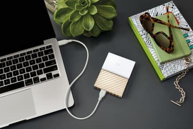 WD My Passport Ultra 1 TB ekstern HDD (hvid/guld)
