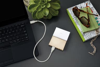 WD My Passport Ultra 2 TB ekstern HDD (hvid/guld)