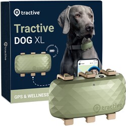 Tractive DOG XL GPS tracker til hund (grøn)