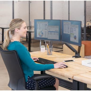 Fellowes Platinum dobbelt skærmholder (sort)