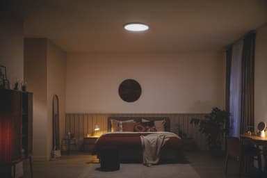 Philips Ozziet loftslampe 22W (hvid)