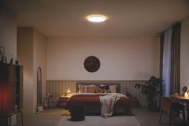 Philips Ozziet loftslampe 22W (hvid)