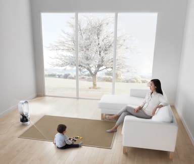 Dyson luftfugter AM10