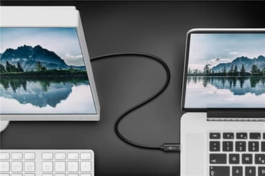 USB-C™ til VGA-adapterkabel
