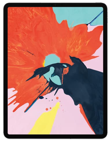 iPad Pro 12,9" 2018 256 GB WiFi (space grey)