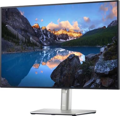 Dell UltraSharp U2421E 24,1" skærm