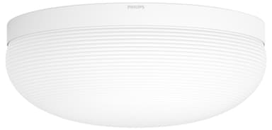 Philips Hue White & colour ambiance Flourish loftslampe 4090531P7