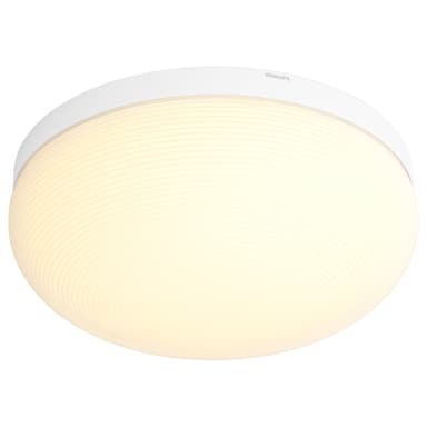 Philips Hue White & colour ambiance Flourish loftslampe 4090531P7