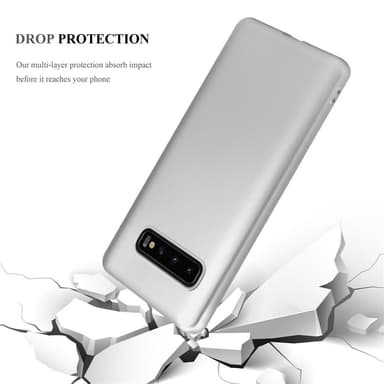 Samsung Galaxy S10 PLUS Cover Etui Case (Sølv)