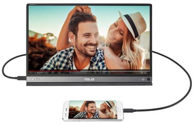 Asus ZenScreen Go MB16AP 15,6" bærbar skærm (grå)
