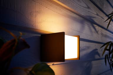 Philips Hue White ambiance Fuzo Outdoor væglampe 1744530P7