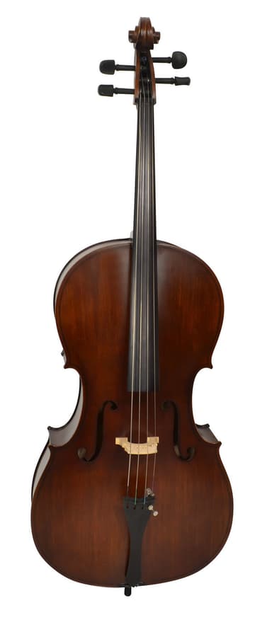 Bryce cello 4/4