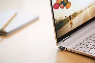 SanDisk Ultra Fit 256 GB USB 3.1 USB-stik
