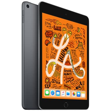 iPad mini (2019) 64 GB WiFi (space gray)