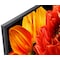 Sony 49" XG83 4K UHD LED Smart TV KD49XG8305