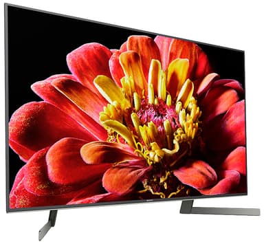 Sony 49" XG95 4K UHD LED Smart TV KD49XG9005