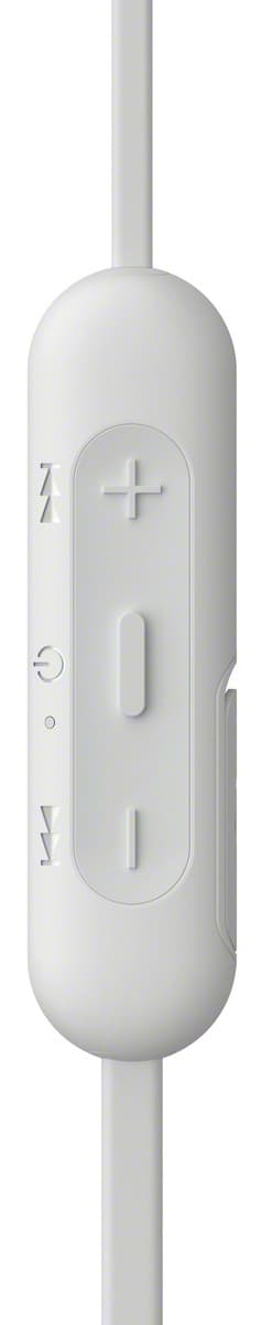 wic 310