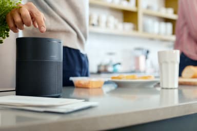 Bose Home Speaker 300 (sort)