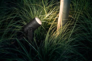 Philips Hue Lily udendørs-baseenhed med pig (sort)