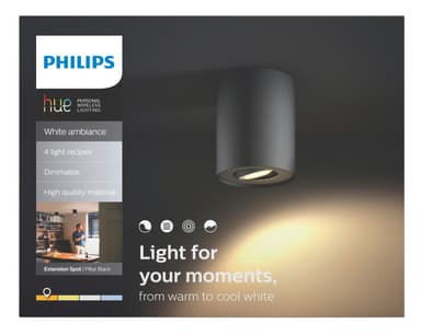 Philips Hue White ambiance Pillar spotlight ext. (sort)