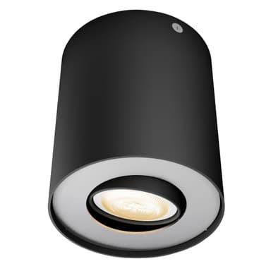 Philips Hue White ambiance Pillar spotlight ext. (sort)