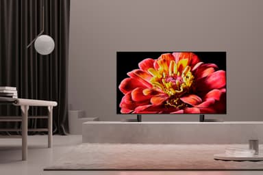 Sony 49" XG95 4K UHD LED Smart TV KD49XG9005