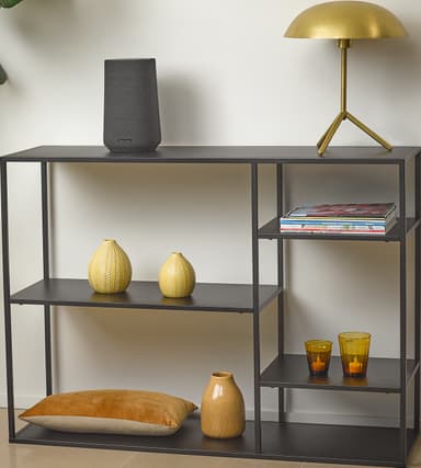 Harman Kardon Citation 100 MKII højttaler (sort)