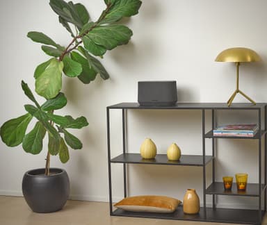 Harman Kardon Citation 300 højttaler (sort)