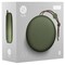 B&O Beoplay A1 trådløs højttaler - moss green