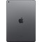 iPad 10,2" (2019) 128 GB wi-fi (space gray)