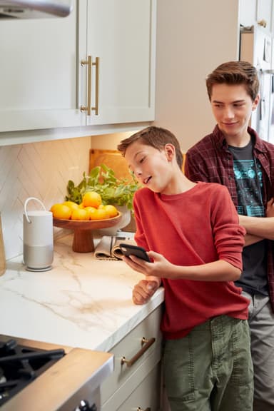 Bose Portable Home Speaker opladerbase (sølv)