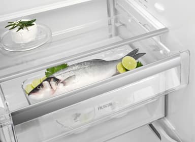 Electrolux fritstående køleskab LRC6MA36X